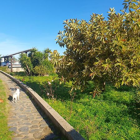 Asinara Villa Sassari Luaran gambar
