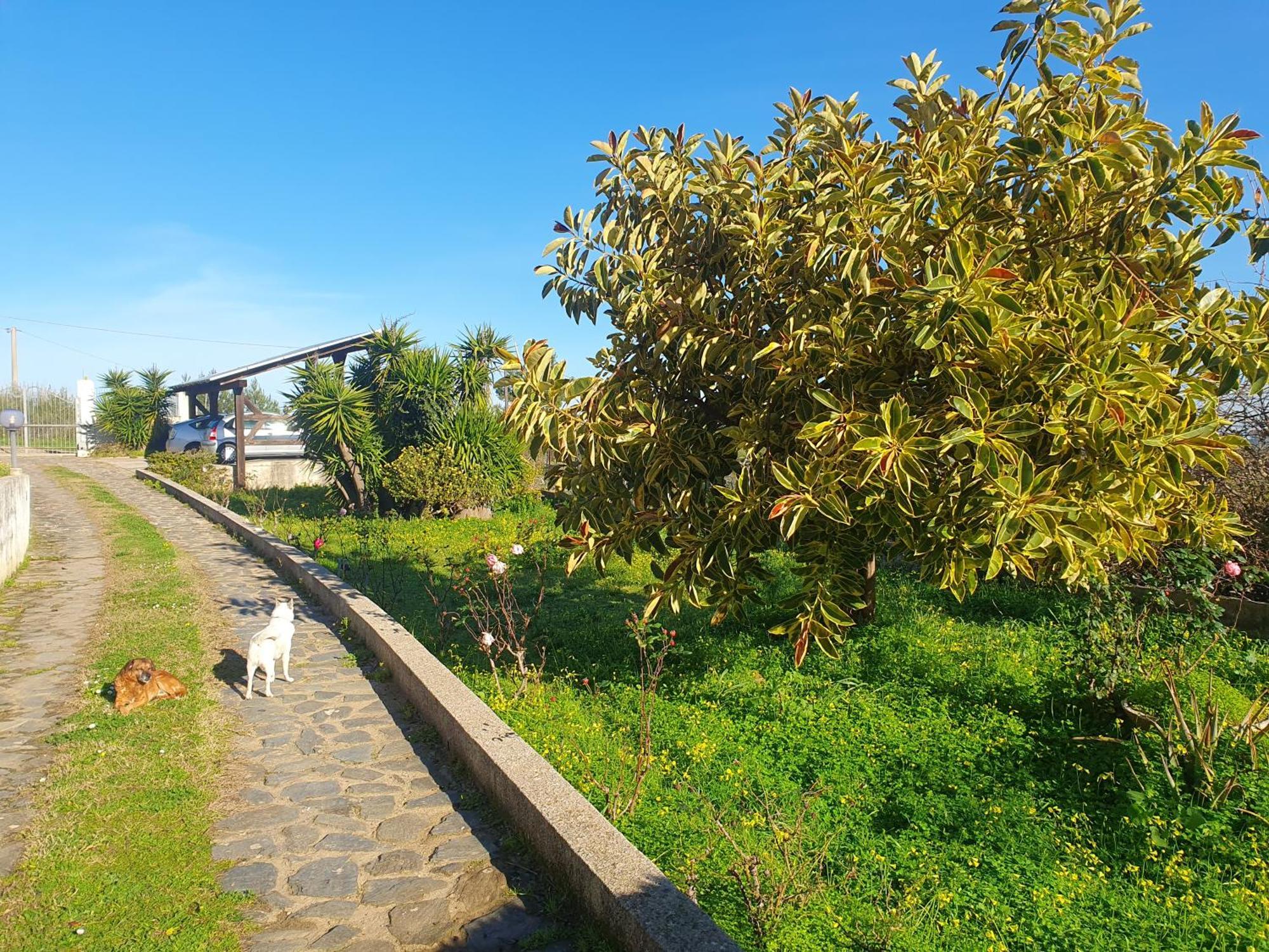 Asinara Villa Sassari Luaran gambar